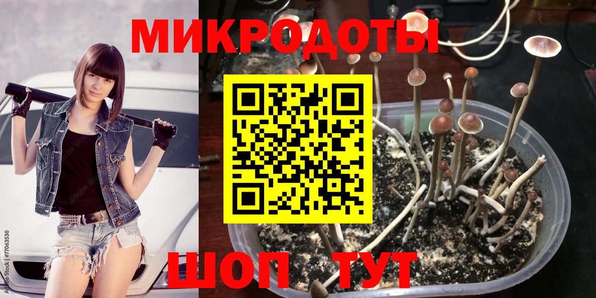 Снежинск  продажа наркотиков  Галлюциногенные грибы GOLDEN TEACHER  Вход с VPN  Псилоцибиновые грибы мухоморы 